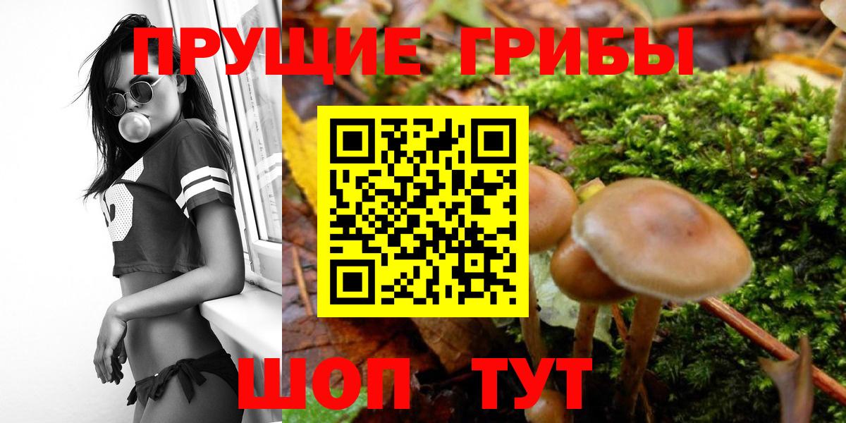 Псилоцибиновые грибы мицелий Шали